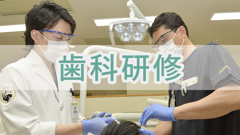 歯科研修プログラム詳細